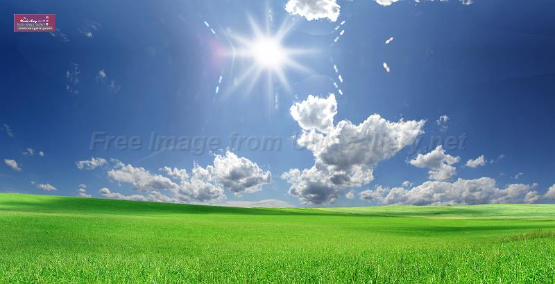 grassland-sky-230x460cm copy.jpg